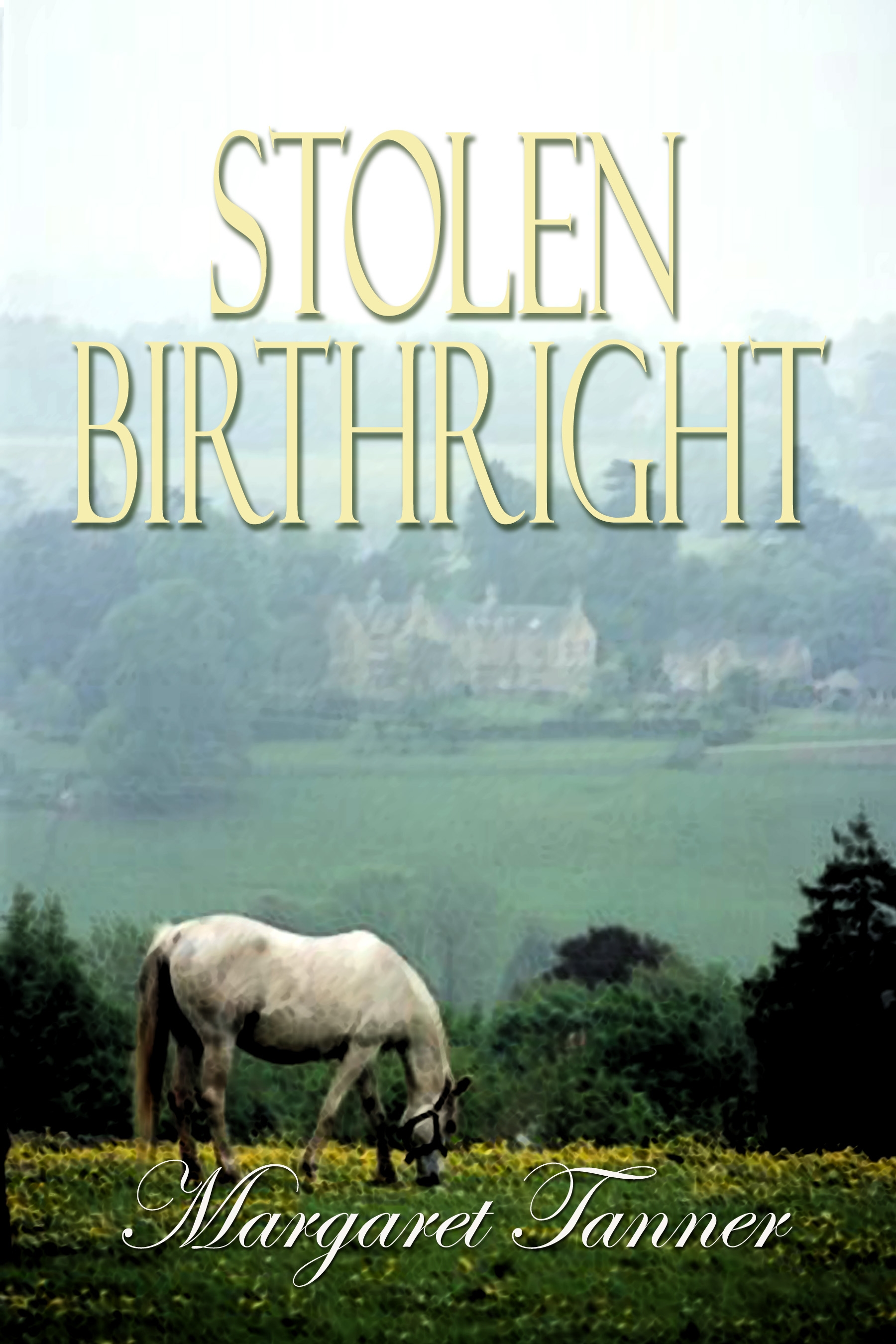 Title details for Stolen Birthright by Margaret Tanner - Available
